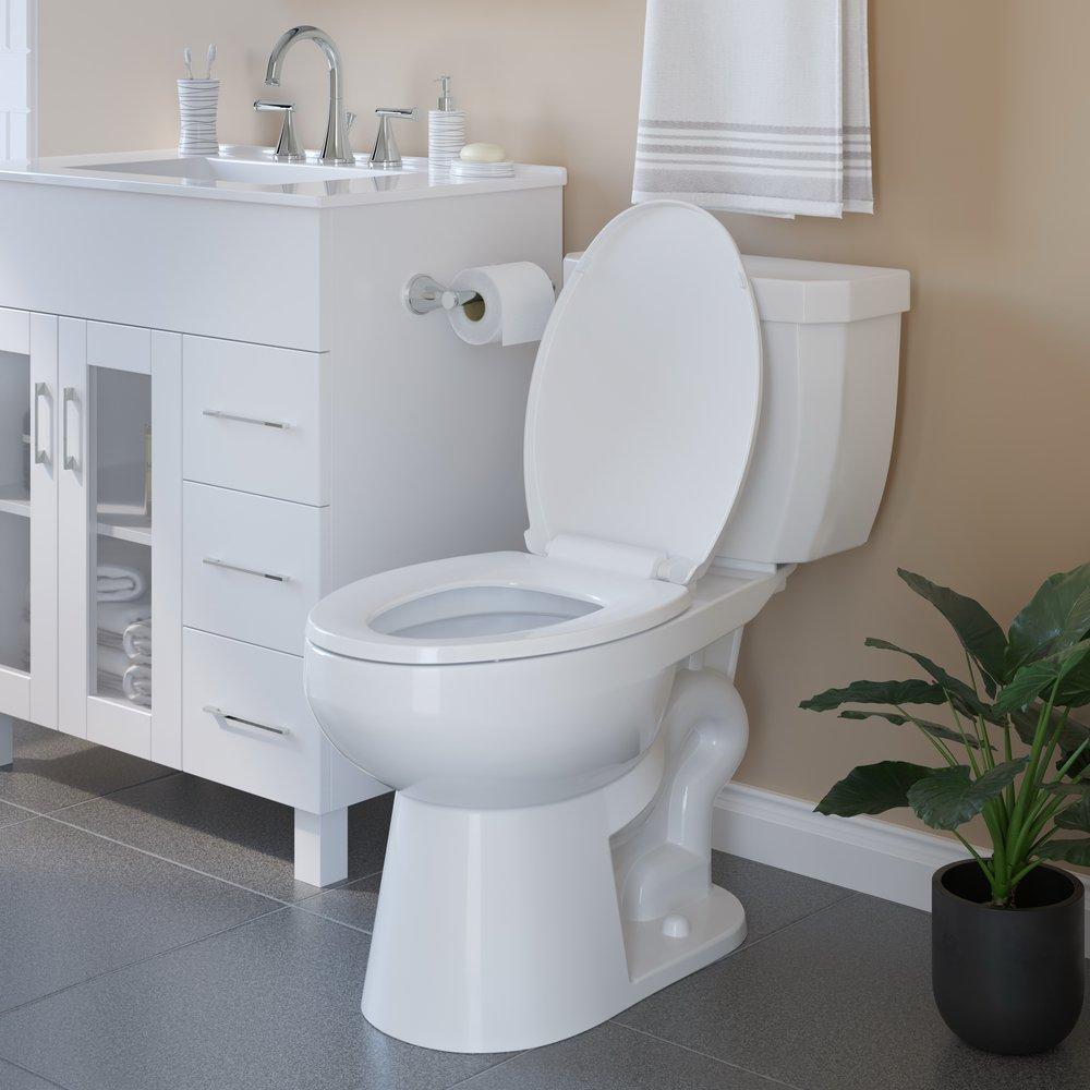 PROFLO® Polished Chrome Wall Mount Toilet Tissue Holder 