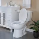 PROFLO® Polished Chrome 18 in. Towel Bar 