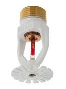 Globe Fire Sprinkler Corporation White 1/2 in. MNPT 5.6K Polyester, Brass and Bronze Residential Standard Sprinkler Head Pendent in White 