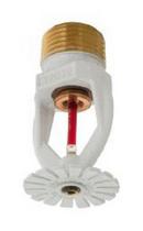 Globe Fire Sprinkler Corporation White 1/2 in. 175F 4.1K Pendent Sprinkler Head 
