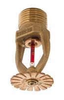 Globe Fire Sprinkler Corporation White 1/2 in. 4.9K Pendent Sprinkler and Quick Response Sprinkler Head in White 