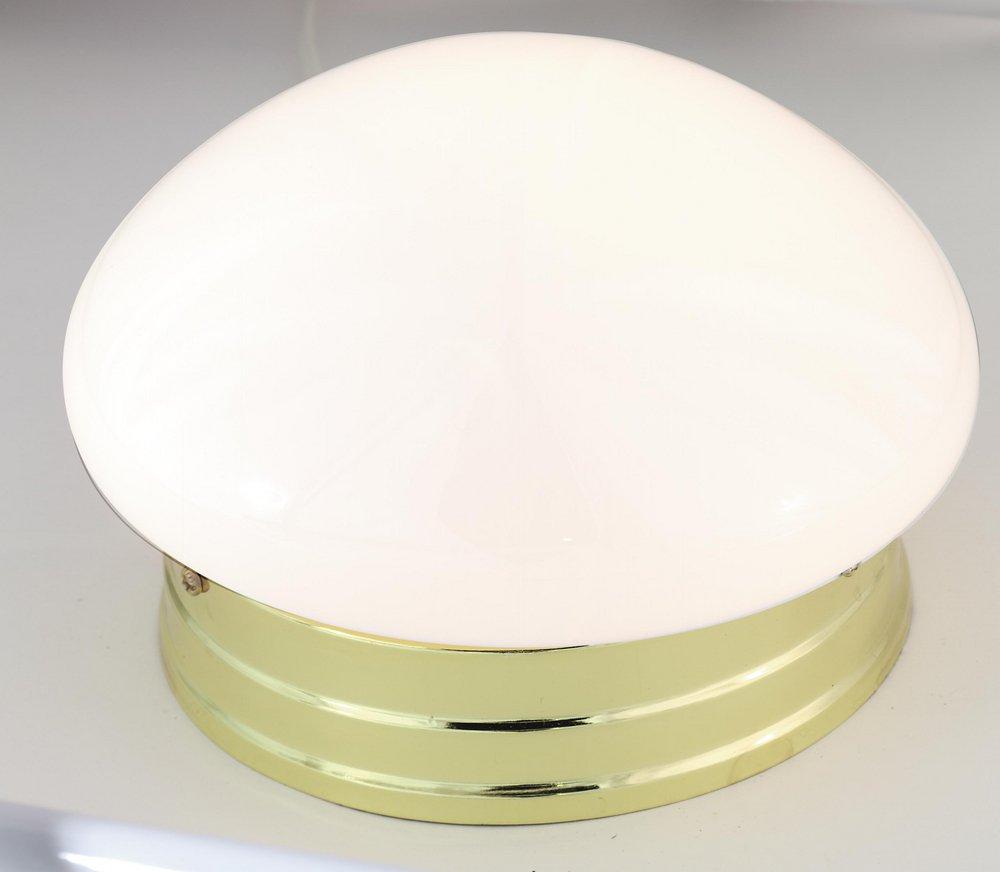 NUVO Polished Brass 8 in. 1-Light Mushroom Fixture 