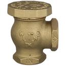 Zurn Wilkins FNPT Cast Bronze 125 psi BFP Vacuum Breaker 
