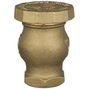Zurn Wilkins FNPT Cast Bronze 125 psi BFP Vacuum Breaker 
