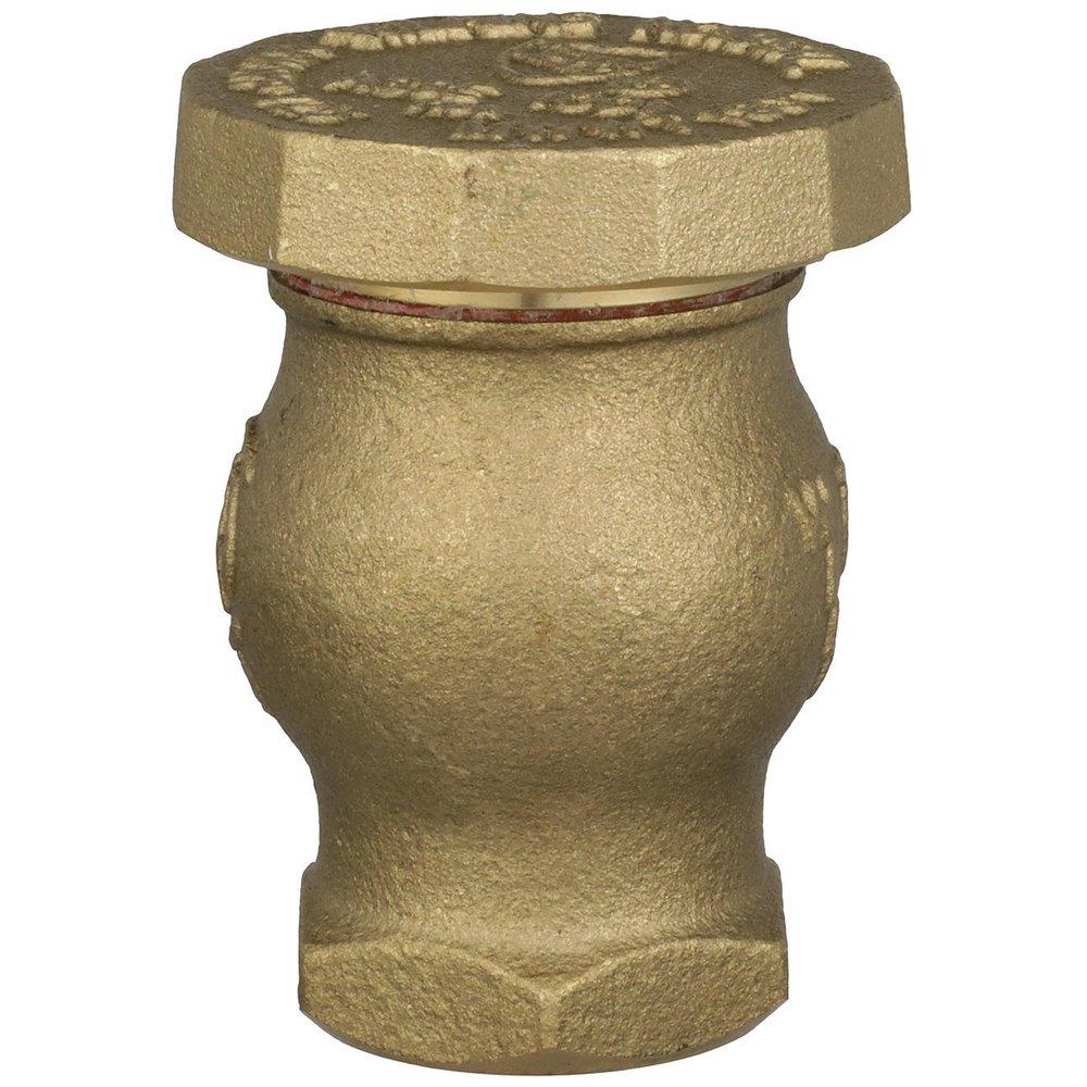 Zurn Wilkins FNPT Cast Bronze 125 psi BFP Vacuum Breaker 