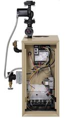 Weil Mclain Residential Gas Boiler Propane and Natural Gas 