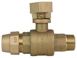 2 in. Ball Valve with Adapter