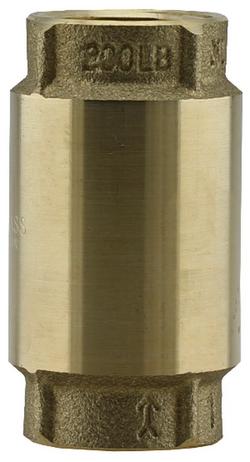 1 in. FPT Brass Spring Check Valve
