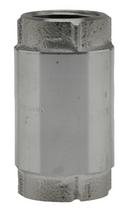Boshart Industries Stainless Steel and Rubber FPT Check Valve 