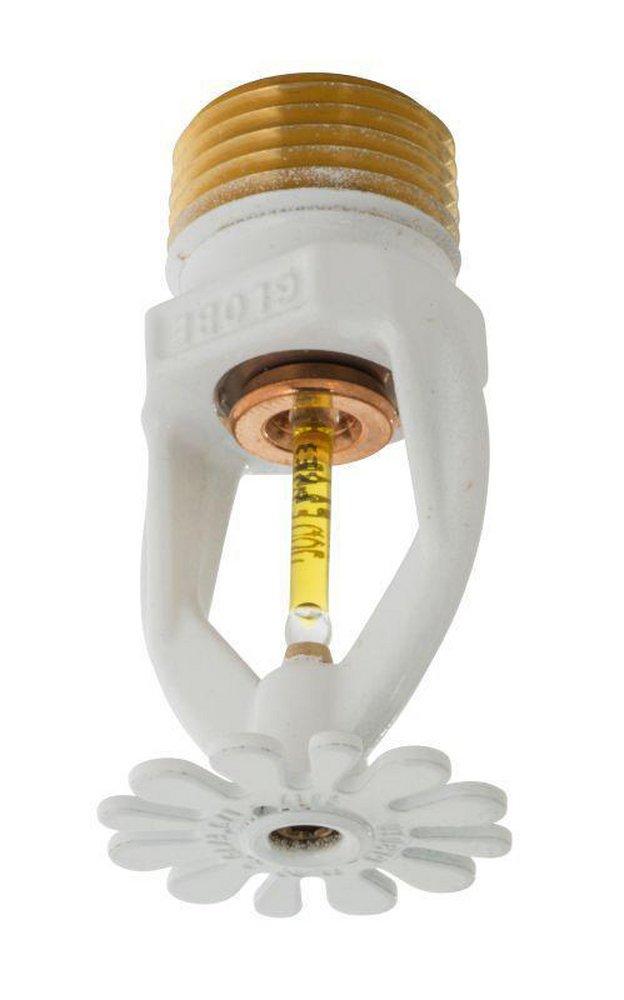 Globe Fire Sprinkler Corporation Residential Pendent Sprinkler Head 