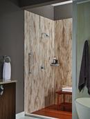 Delta Faucet Chrome Single Handle Single Function Shower Faucet (Trim Only) 