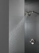 Delta Faucet Brilliance Stainless Single Handle Bathtub & Shower Faucet (Trim Only) 
