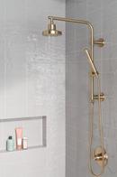 Delta Faucet Champagne Bronze Single Handle Shower Faucet Trim Only 