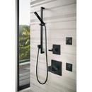 Brizo Matte Black Single Function H2Okinetic&reg; Spray Showerhead 