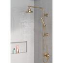 Delta Faucet Champagne Bronze Single Function Hand Shower (Shower Hose Sold Separately) 