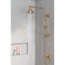 Delta Faucet Champagne Bronze Single Function Hand Shower (Shower Hose Sold Separately) 