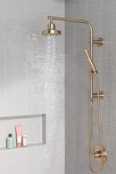 Delta Faucet Champagne Bronze™ Single Function Hand Shower 