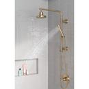 Delta Faucet Champagne Bronze Single Function Hand Shower (Shower Hose Sold Separately) 