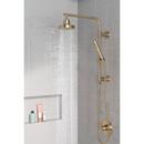 Delta Faucet Champagne Bronze Single Function Hand Shower (Shower Hose Sold Separately) 