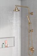 Delta Faucet Champagne Bronze™ Single Function Hand Shower 