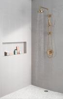 Delta Faucet Champagne Bronze™ Single Function Hand Shower 