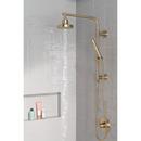Delta Faucet Champagne Bronze Single Function Hand Shower (Shower Hose Sold Separately) 
