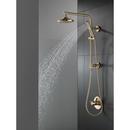 Delta Faucet Champagne Bronze Single Function Hand Shower (Shower Hose Sold Separately) 