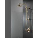 Delta Faucet Champagne Bronze Single Function Hand Shower (Shower Hose Sold Separately) 