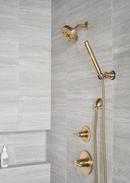 Delta Faucet Brilliance Champagne Bronze Tub and Shower Diverter Valve with Single Lever Handle 