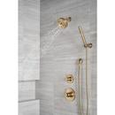 Delta Faucet Brilliance Champagne Bronze Single Handle Bathtub & Shower Faucet (Trim Only) 