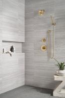 Delta Faucet Brilliance Champagne Bronze Single Handle Bathtub & Shower Faucet (Trim Only) 