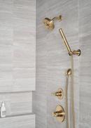 Delta Faucet Brilliance Champagne Bronze Single Handle Bathtub & Shower Faucet (Trim Only) 