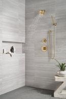 Delta Faucet Brilliance Champagne Bronze Single Handle Bathtub & Shower Faucet (Trim Only) 