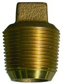 A.Y. McDonald CC Water Service Brass Plug 