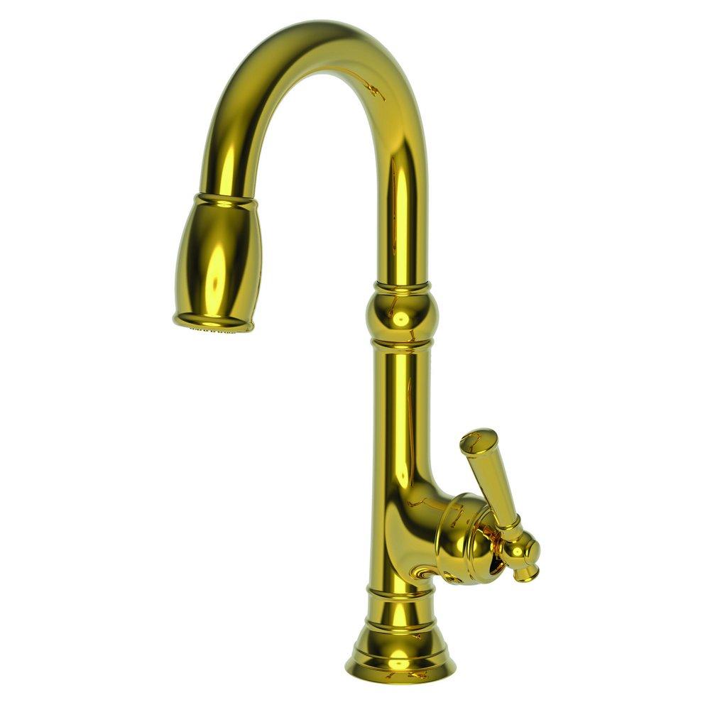 Newport Brass Forever Brass - PVD Single Lever Handle Bar Faucet 