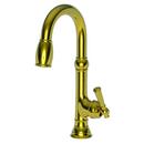 Single Handle Pull Down Bar Faucet in Unlaquered Brass - Living