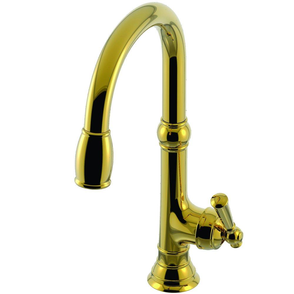 Newport Brass Forever Brass - PVD Single Handle Pull Down Kitchen Faucet 