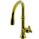 Single Handle Pull Down Kitchen Faucet in Forever Brass - PVD