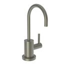 1 gpm 1 Hole Deck Mount Cold Water Dispenser Faucet with Double Lever Handle in Gunmetal