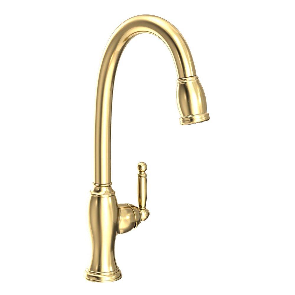 Newport Brass Forever Brass - PVD Single Handle Pull Down Kitchen Faucet 