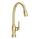 Newport Brass Forever Brass - PVD Single Handle Pull Down Kitchen Faucet 