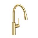 Newport Brass Forever Brass - PVD Pull Down Kitchen Faucet 