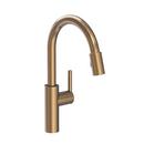 Newport Brass Antique Brass Pull Down Kitchen Faucet 