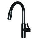 Newport Brass Gloss Black Single Handle Pull Down Kitchen Faucet 