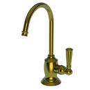 1 gpm 1 Hole Deck Mount Cold Water Dispenser with Single Lever Handle in Satin Gold - PVD