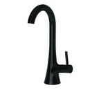 1 gpm 1 Hole Deck Mount Cold Water Dispenser with Single Lever Handle in Gloss Black