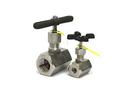 1 in. FNPT Needle Globe Valve with Graphoil Packing