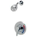 Zurn Chrome Plated Single Handle Shower Faucet 