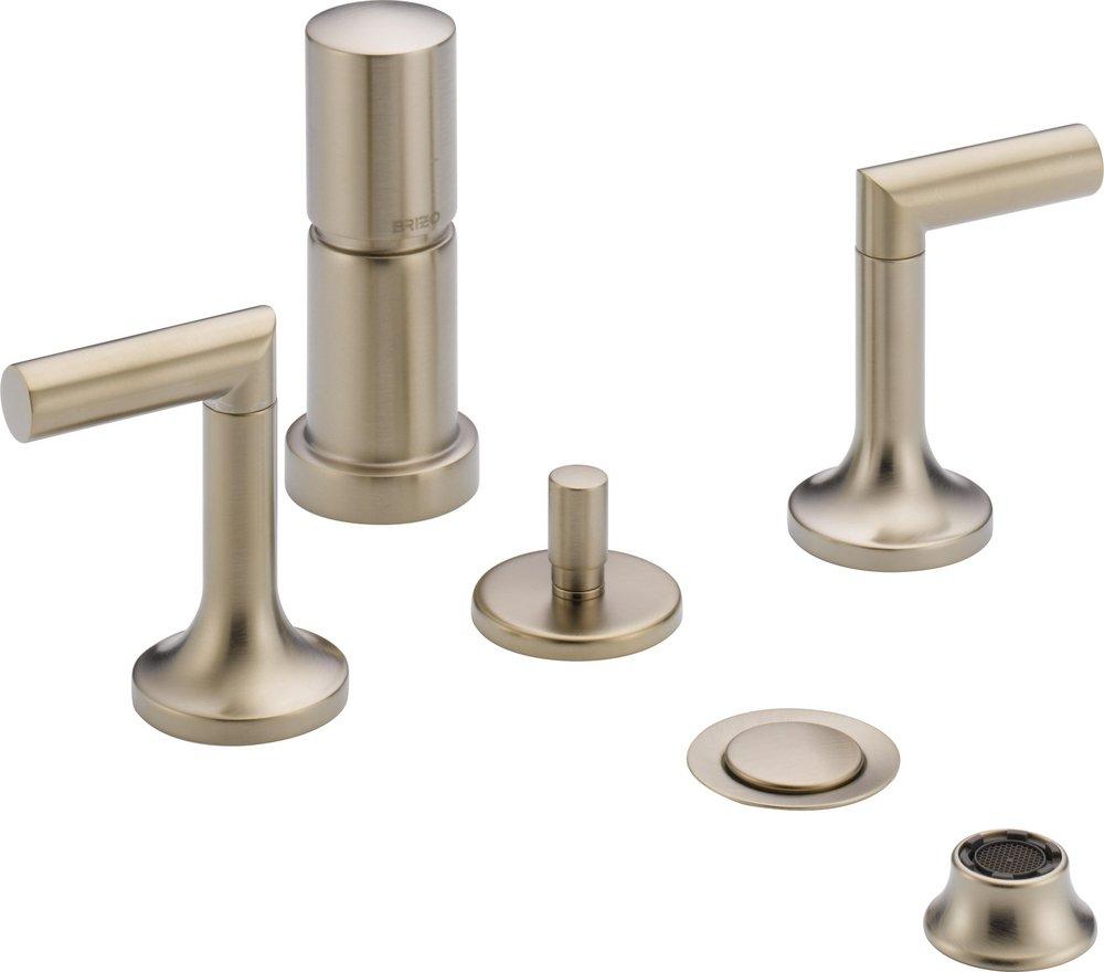 Brizo Brushed Nickel Double-Handle Vertical Spray Bidet Faucet 