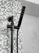 Brizo Matte Black Single Function Hand Shower 